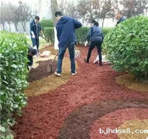 颐和园玩新潮