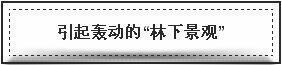 20180308095200641.jpg