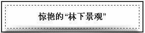 20180308095201796.jpg