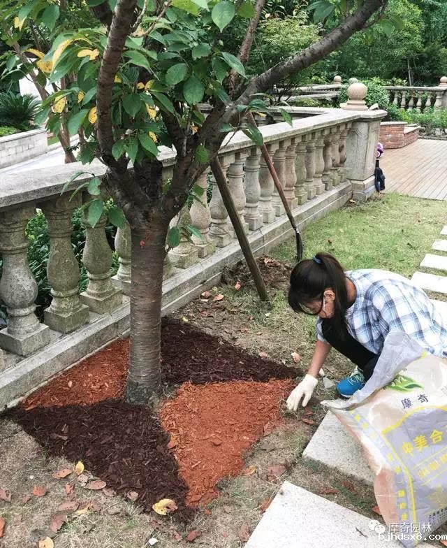 微信图片_20180714094529.jpg